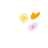 spotwear swatch daisy, curve, jelly bean