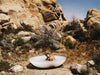 Hailey Bieber in a bath tub surrounded by desert landscape
