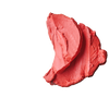 texture of pocket blush